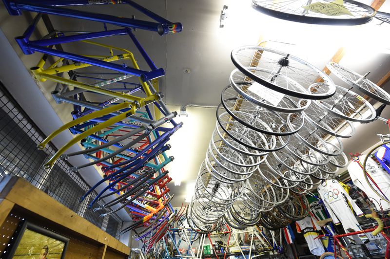 Image of DaveMarshBikeShop 96 800