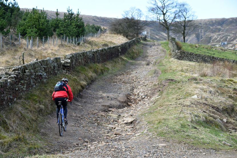 A bike ride a day keeps the doctor away.